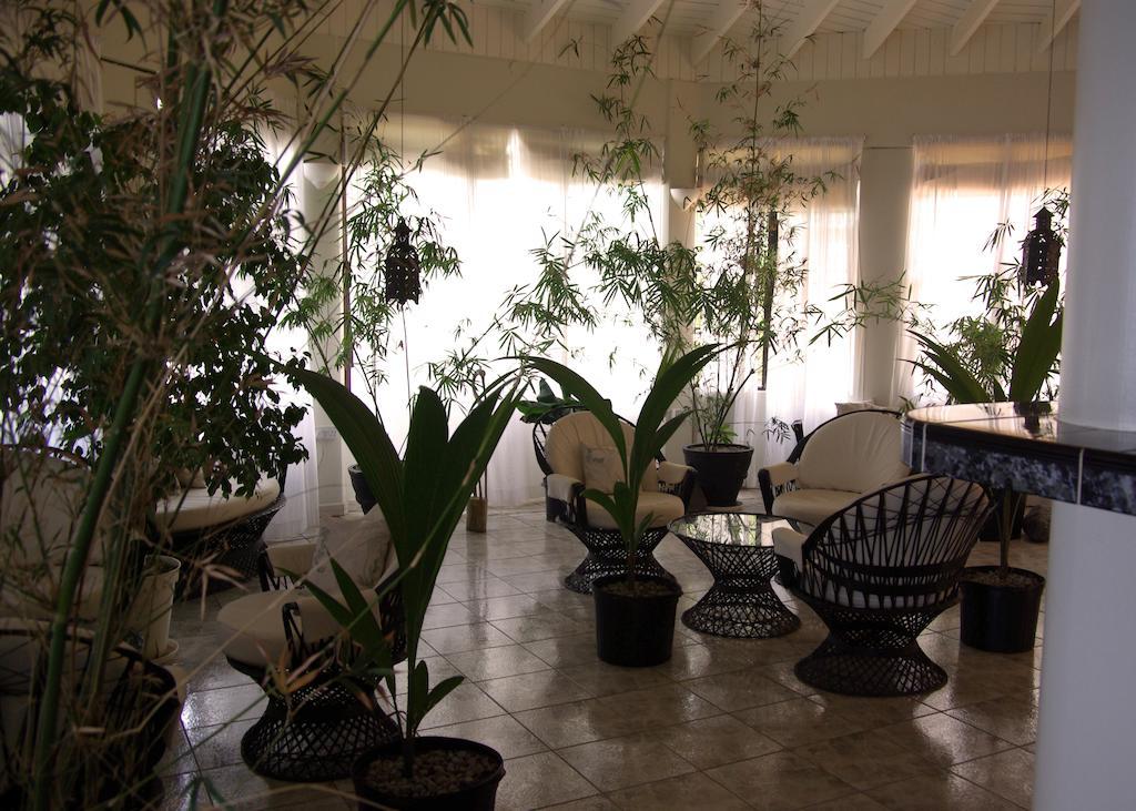 Evergreen Hotel Roseau Bagian luar foto